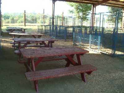 Goat Barn